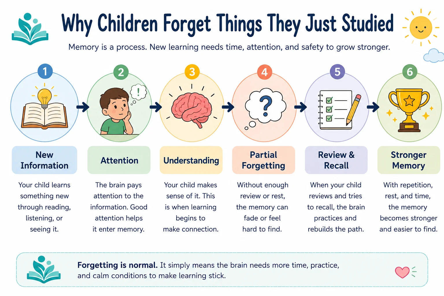 Why Children Forget Things They Just Studied